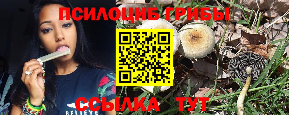 даркнет сайт  Вход с VPN  Бутурлиновка  Галлюциногенные грибы Magic Shrooms 
